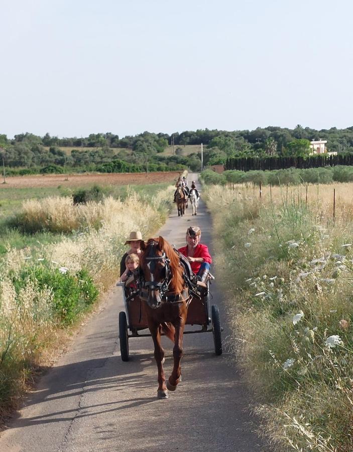 Finca Sa Cova Vella Манакор Экстерьер фото