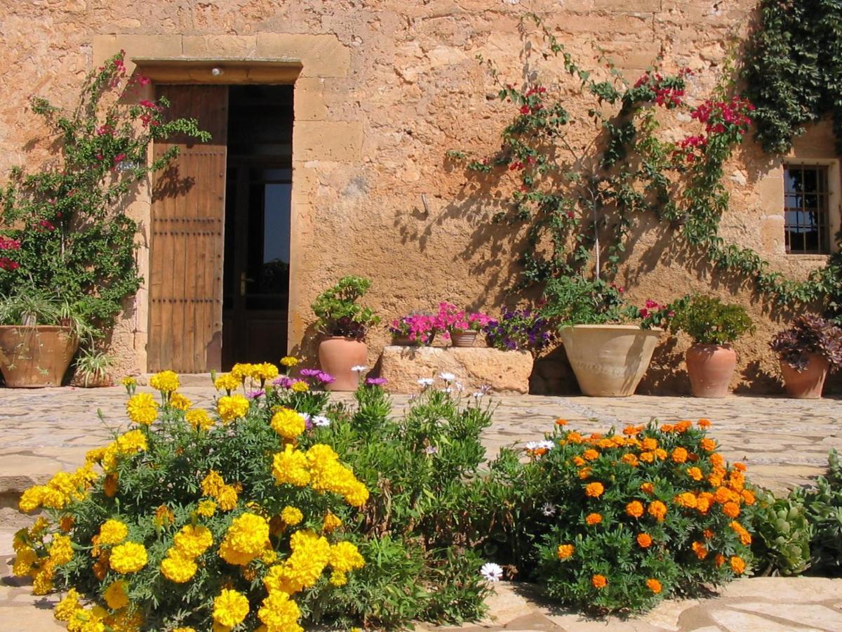 Finca Sa Cova Vella Манакор Экстерьер фото