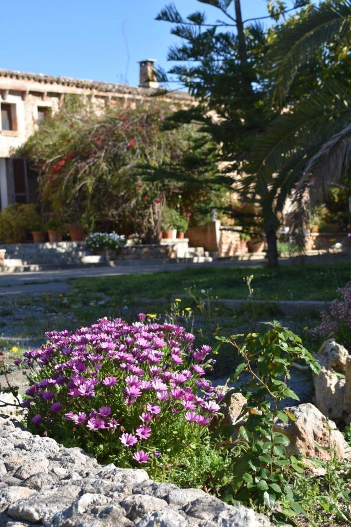 Finca Sa Cova Vella Манакор Экстерьер фото