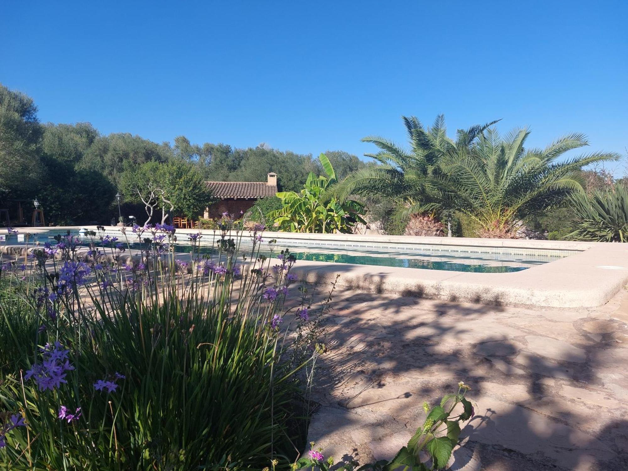 Finca Sa Cova Vella Манакор Экстерьер фото